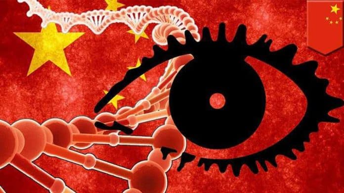 Ученые беспокоятся: Китай создает обширную базу данных ДНК Недавно из отчета ASPI стало известно, что официальный Пекин собирает образцы ДНК мужского населения. Сторонники Пекина утверждают, что база данных ДНК будет помогать расследованию преступлений. Тем не менее, активисты и ученые опасаются, что такая база данных будет использоваться в гнусных целях, в том числе для усиления государственного контроля над гражданами. Китай сосредоточен на каталогизации STR-маркеров Y-хромосом, которые потенциально могут быть использованы для поиска членов семьи преступника. Поэтому, если у полиции будет образец ДНК человека, но они не знают, кто он или кто члены его семьи, все, что им нужно сделать, это сравнить STR-маркер Y-хромосомы с информацией в базе данных ДНК. Все его родственники-мужчины по отцовской линии могут быть идентифицированы полицией с помощью этого метода. Правоохранительные органы из нескольких стран уже используют такие методы отслеживания ДНК для поимки преступников. Однако проблема с Китаем заключается в том, что база данных будет контролироваться партией. Обычно данные ДНК, собранные для расследования, уничтожаются после закрытия дела. Но Пекин вряд ли будет следовать такой практике. Вместо этого, все собранные данные будут храниться вечно, чтобы использоваться партией в соответствии с ее интересами. Некоторые ученые опасаются, что база данных ДНК может быть использована для выслеживания родственников скрывающегося преступника, критикующего партию. Тогда китайское правительство сможет наказать членов семьи, тем самым оказывая давление на такого человека, чтобы он не мог скрываться. Китай также сможет строго проводить свою политику в области контроля рождаемости. Общины меньшинств, такие как уйгуры, тибетцы, казахи и т.д., в будущем столкнутся с большими трудностями, поскольку Пекин может точно отслеживать их численность и применять методы, направленные на их сокращение. Синьхуа Поддерживаемое государством информационное агентство 